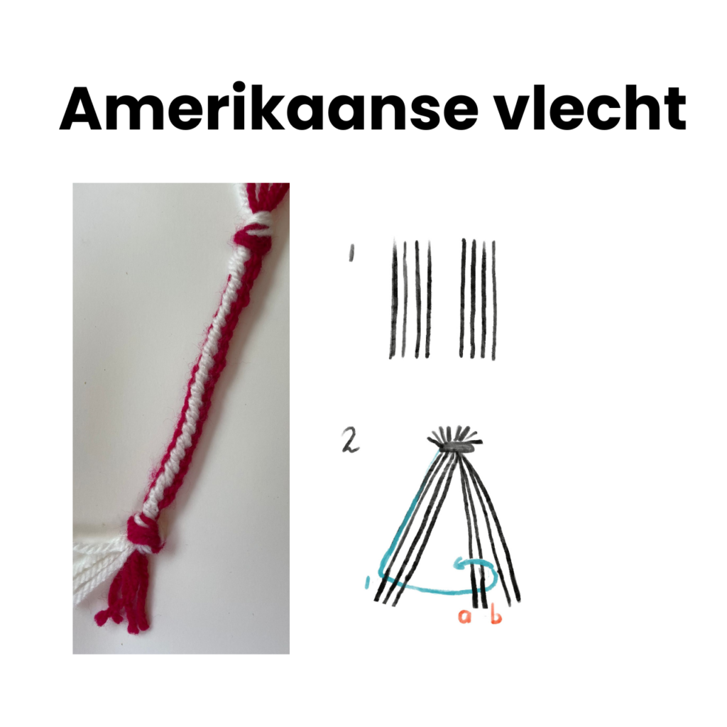 Amerikaanse vlecht