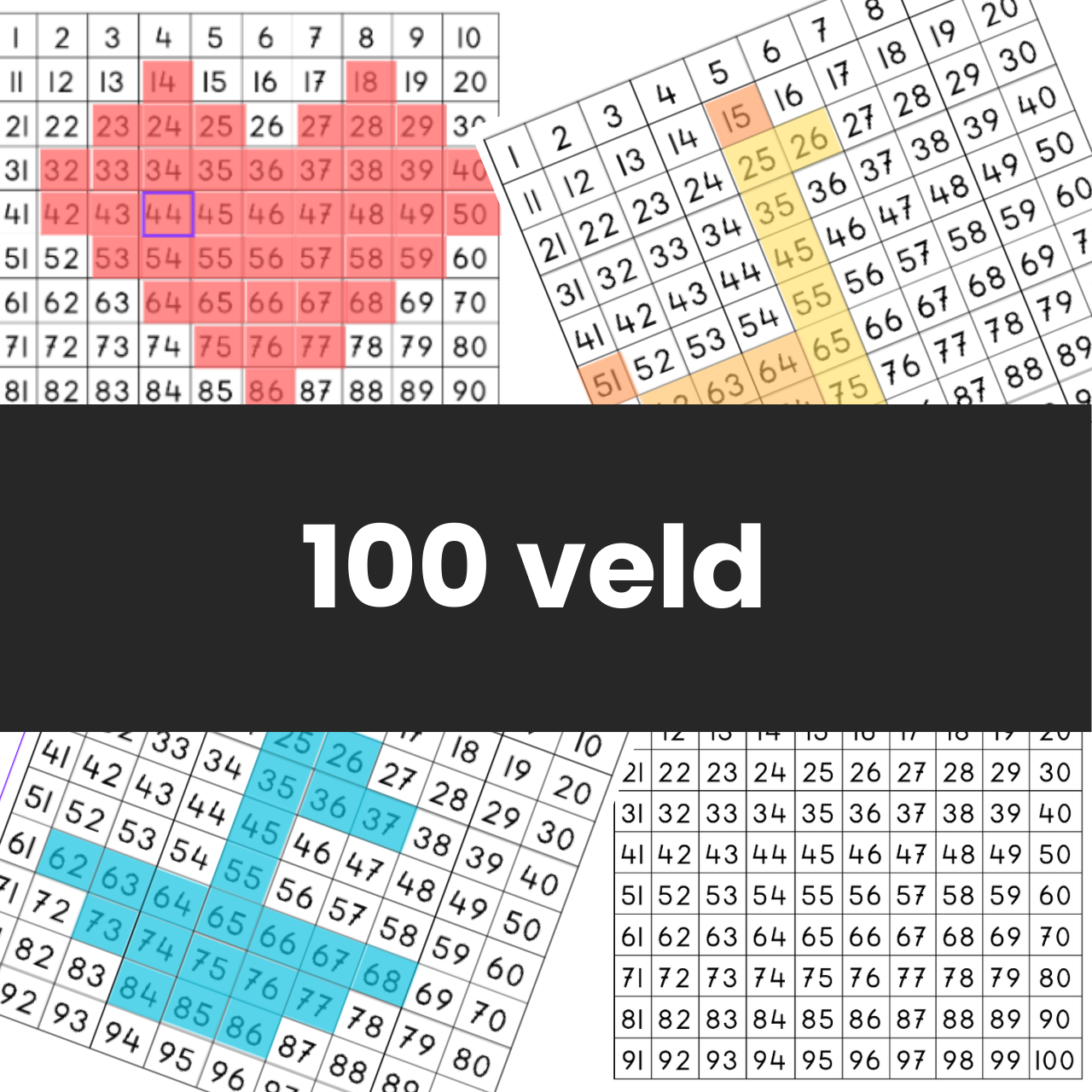 100 veld rekenen